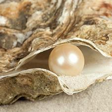 Auster mit Perle