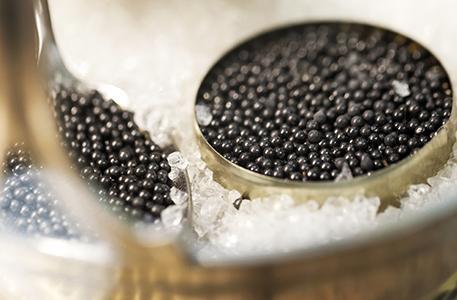 Schwarzer Kaviar in Dose auf Eis