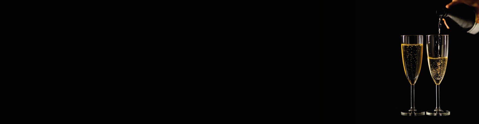 Silvester bei Wedl Silvester bei Wedl