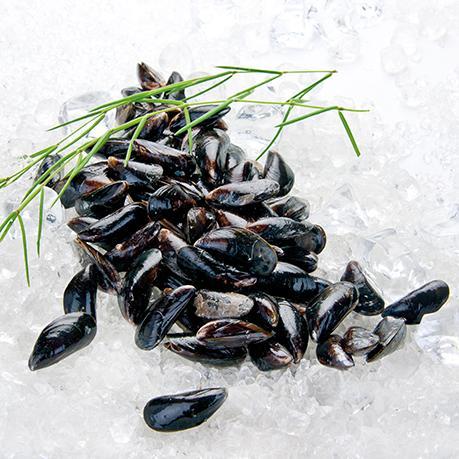 Frische Früchte aus dem Meer