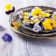 Essbare Blüten