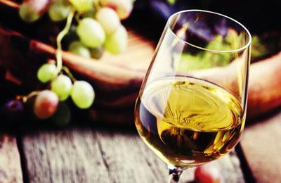 Vinothek Wedl Vinothek Wedl
