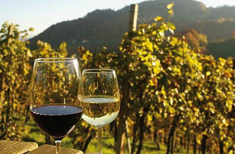 Rot- und Weißwein vor Weinreben