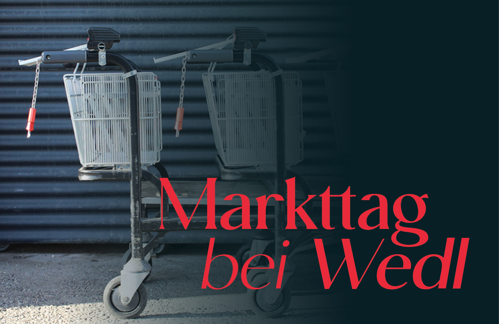 Markttag Wedl Wien