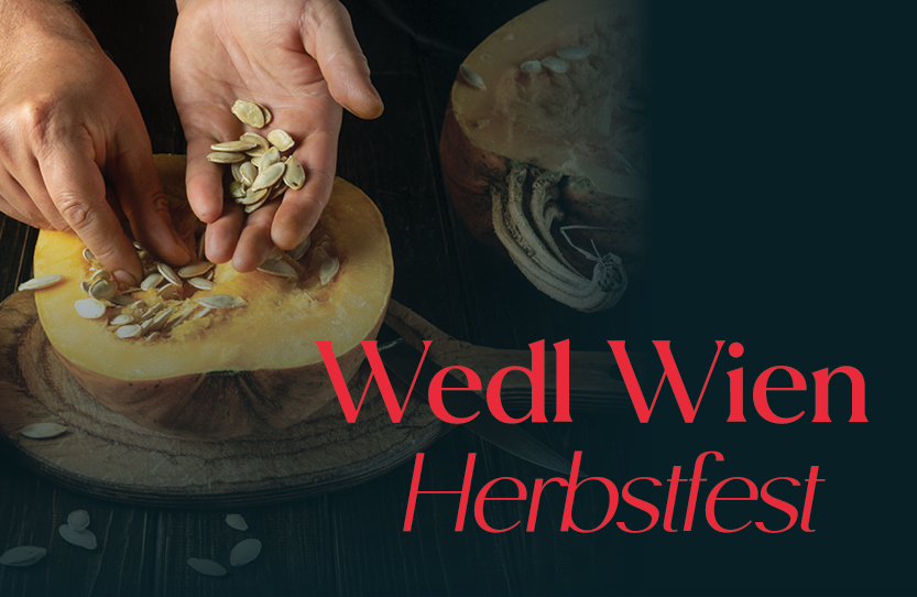 Herbstfest in Wien