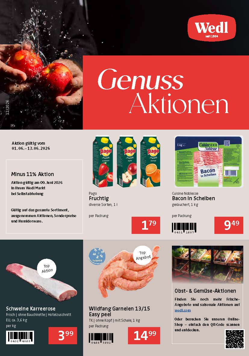 Flugblatt Cover