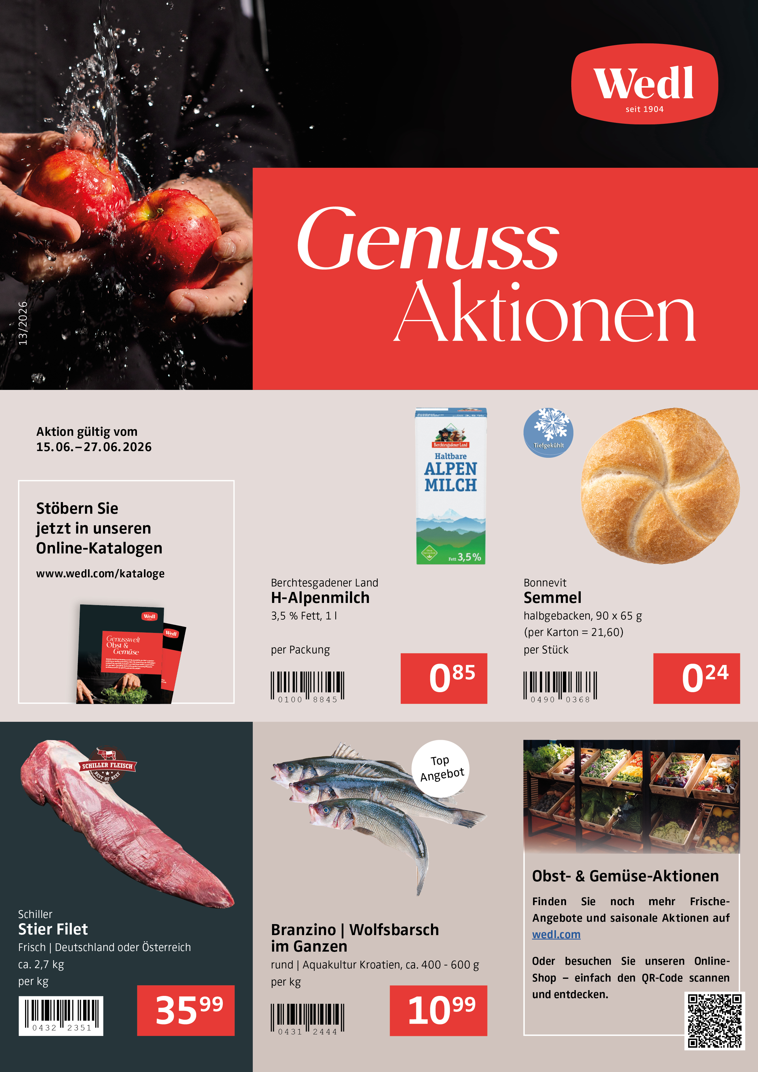 Flugblatt Cover